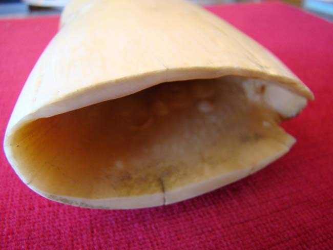 A fine polycrome Scrimshaw whale's tooth depicting a three-masted warship circa 1850 — image 4